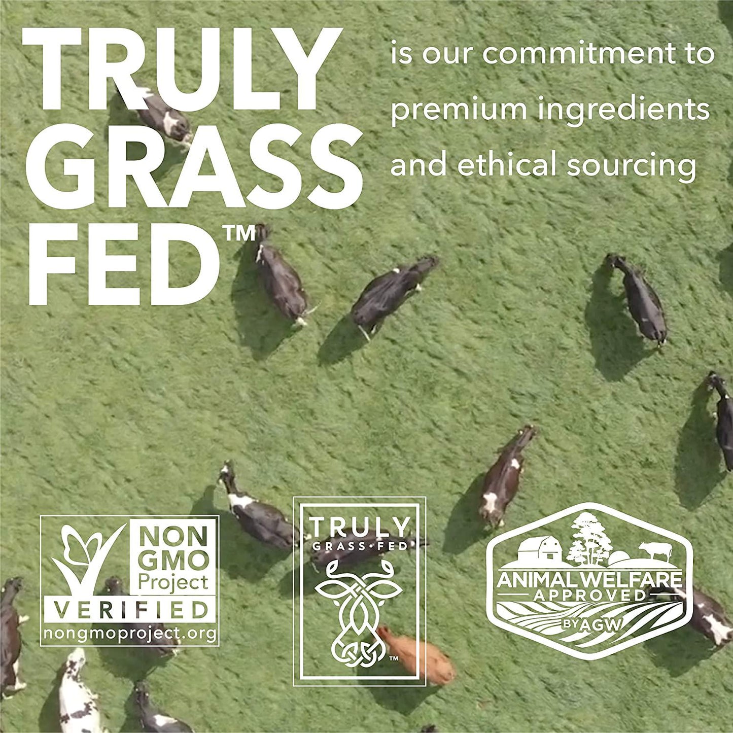 Iconic Protein Powder, Vanilla Bean - Sugar Free, Low Carb Protein Powder - Lactose Free, Gluten Free, Non-GMO, Kosher - 20g Grass Fed Whey and Casein Protein - Keto Friendly, 1 lb. Pouch (18 Servings)