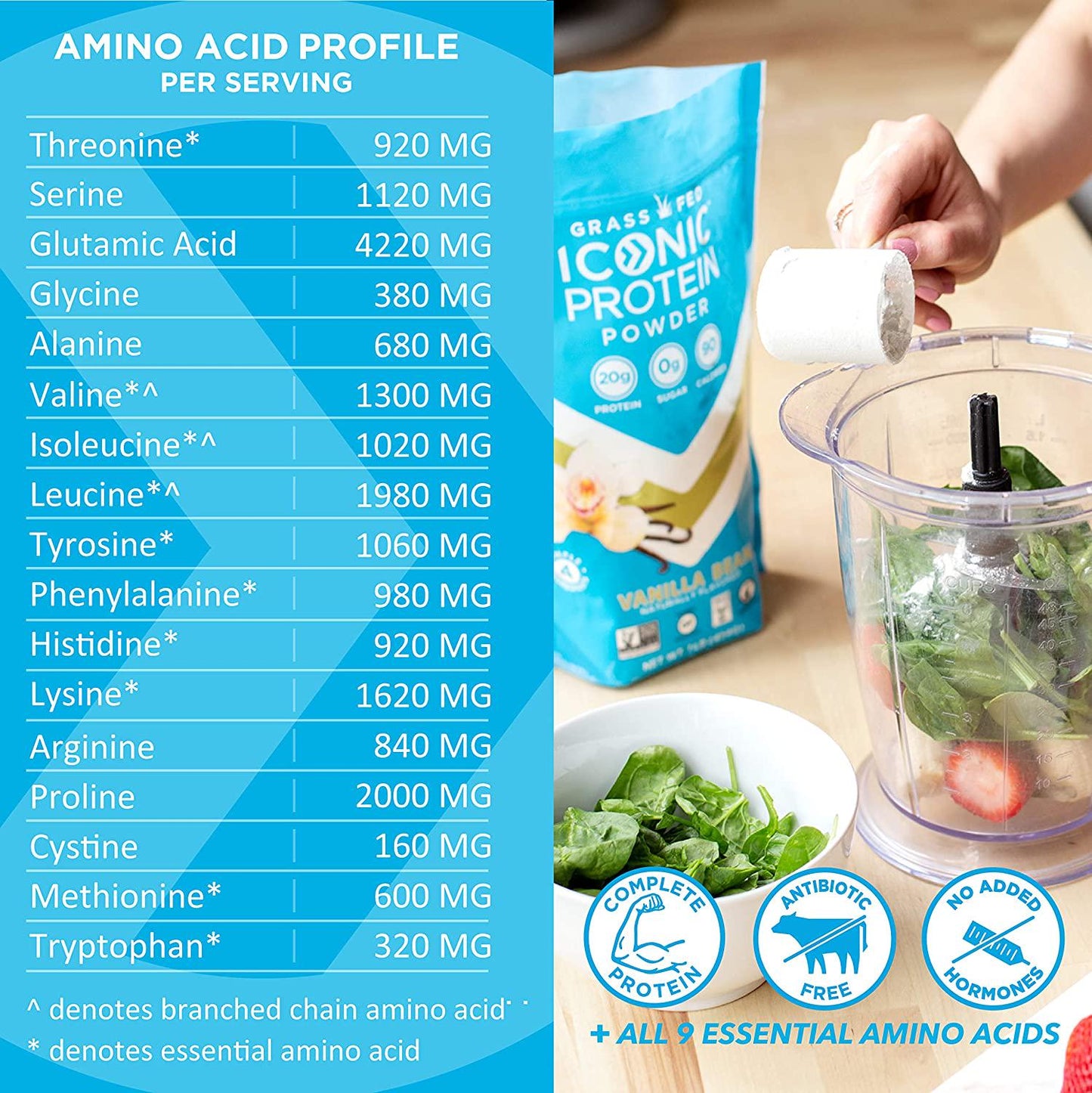 Iconic Protein Powder, Vanilla Bean - Sugar Free, Low Carb Protein Powder - Lactose Free, Gluten Free, Non-GMO, Kosher - 20g Grass Fed Whey and Casein Protein - Keto Friendly, 1 lb. Pouch (18 Servings)