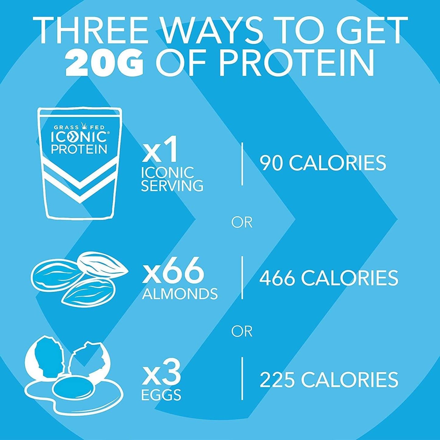 Iconic Protein Powder, Vanilla Bean - Sugar Free, Low Carb Protein Powder - Lactose Free, Gluten Free, Non-GMO, Kosher - 20g Grass Fed Whey and Casein Protein - Keto Friendly, 1 lb. Pouch (18 Servings)