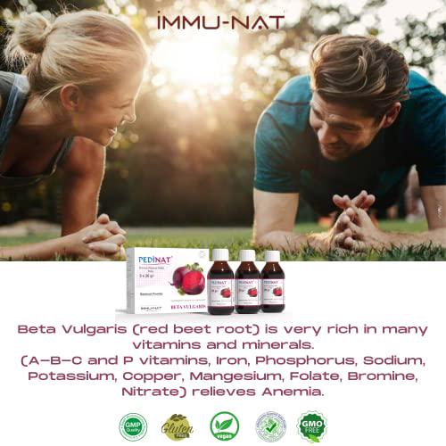 Immu-Nat Nitric Oxide Boost Supplement (60 Servings) Red Beet Root Powder Extract for Blood Pressure, Heart Health Support,Non-GMO Superfood