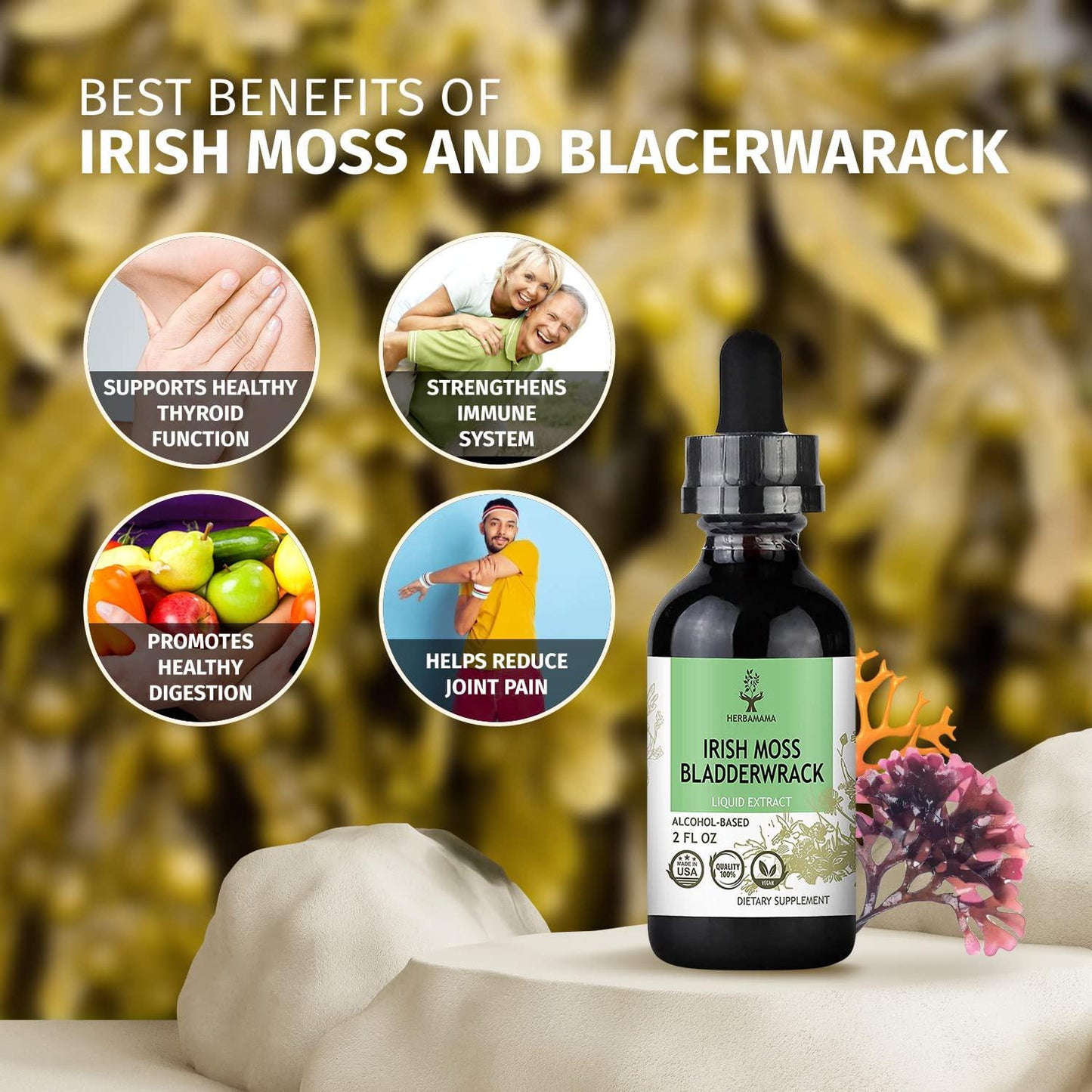 Irish Moss, Sea Moss and Bladderwrack Liquid Extract 2 fl oz | Thyroid Support | Digestive Health | Immune Support | Anti-Inflammatory | Non-GMO