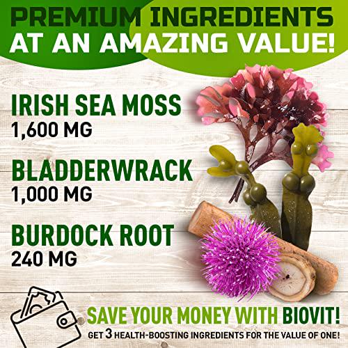 Irish Sea Moss Gummies - Organic Vegan Seamoss Bladderwrack Burdock Root Supplement - Natural Thyroid Support and Immune Booster for Kids and Adults - Based on Sea Moss Gel and Powder for Dr Sebi Diet