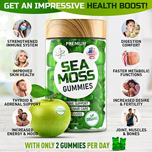 Irish Sea Moss Gummies - Organic Vegan Seamoss Bladderwrack Burdock Root Supplement - Natural Thyroid Support and Immune Booster for Kids and Adults - Based on Sea Moss Gel and Powder for Dr Sebi Diet