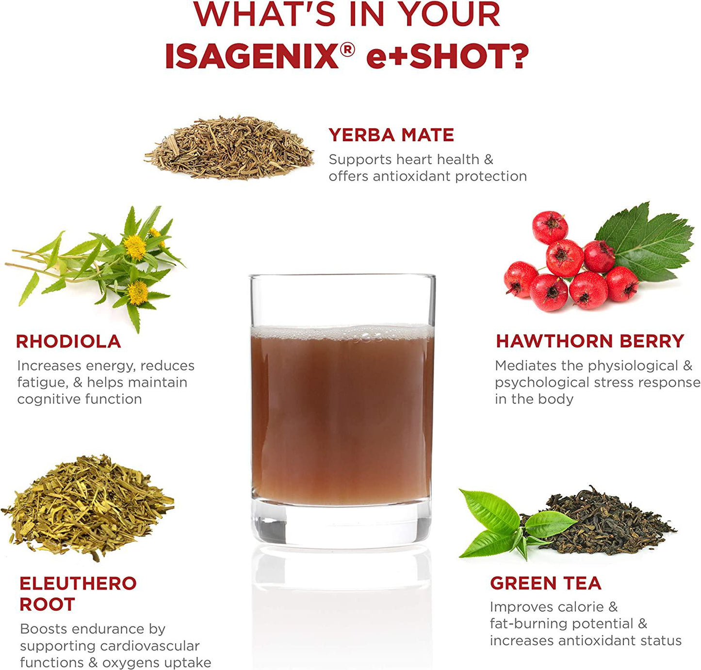 Isagenix e+ - Liquid Energy Shot Supplement with Hawthorn Berry, Green Tea, Licorice Root and More for Long-Lasting Energy - 2-Ounce Bottles (6 Pack) (Apple Pomegranate Flavor)