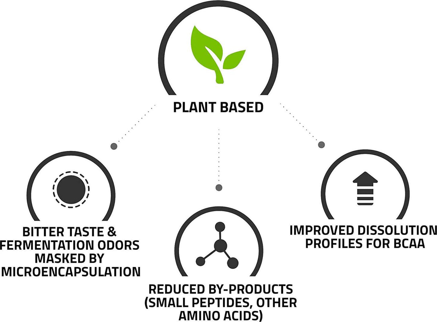 KAGED MUSCLE, Fermented BCAA Powder, Plant Based, Non-GMO, Supports Protein Synthesis, Vegan Friendly Branched Chain Amino Acids, Aminos, BCAAs, Unflavored, 72 Servings, 14.1 Ounce