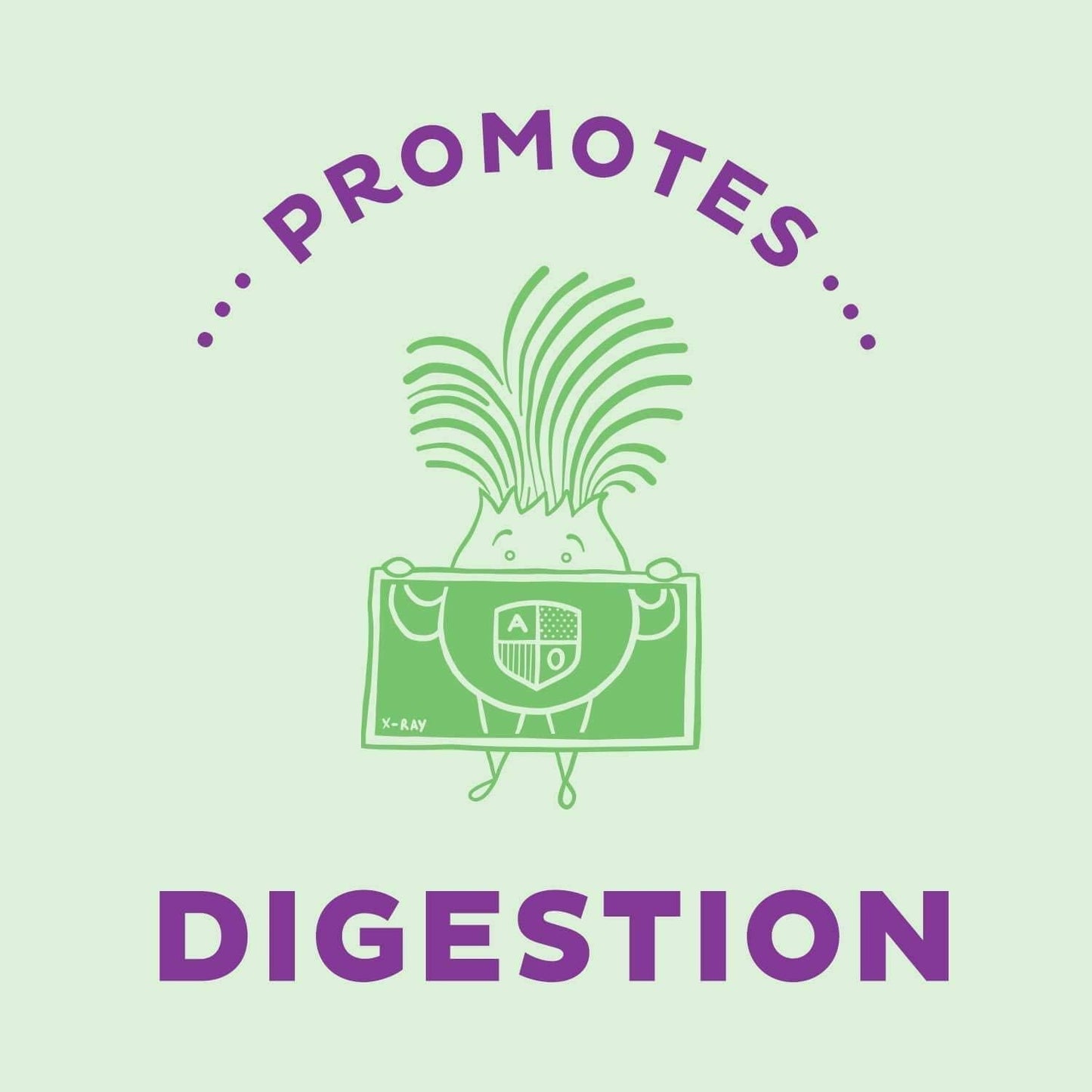 KOS Milk Thistle Capsules - 500mg Potent Milk Thistle Seed Extract - Powerful Detox Enhancer, Promotes Healthy Digestion, Natural Liver Health Support - 120 Plant-Based Capsules