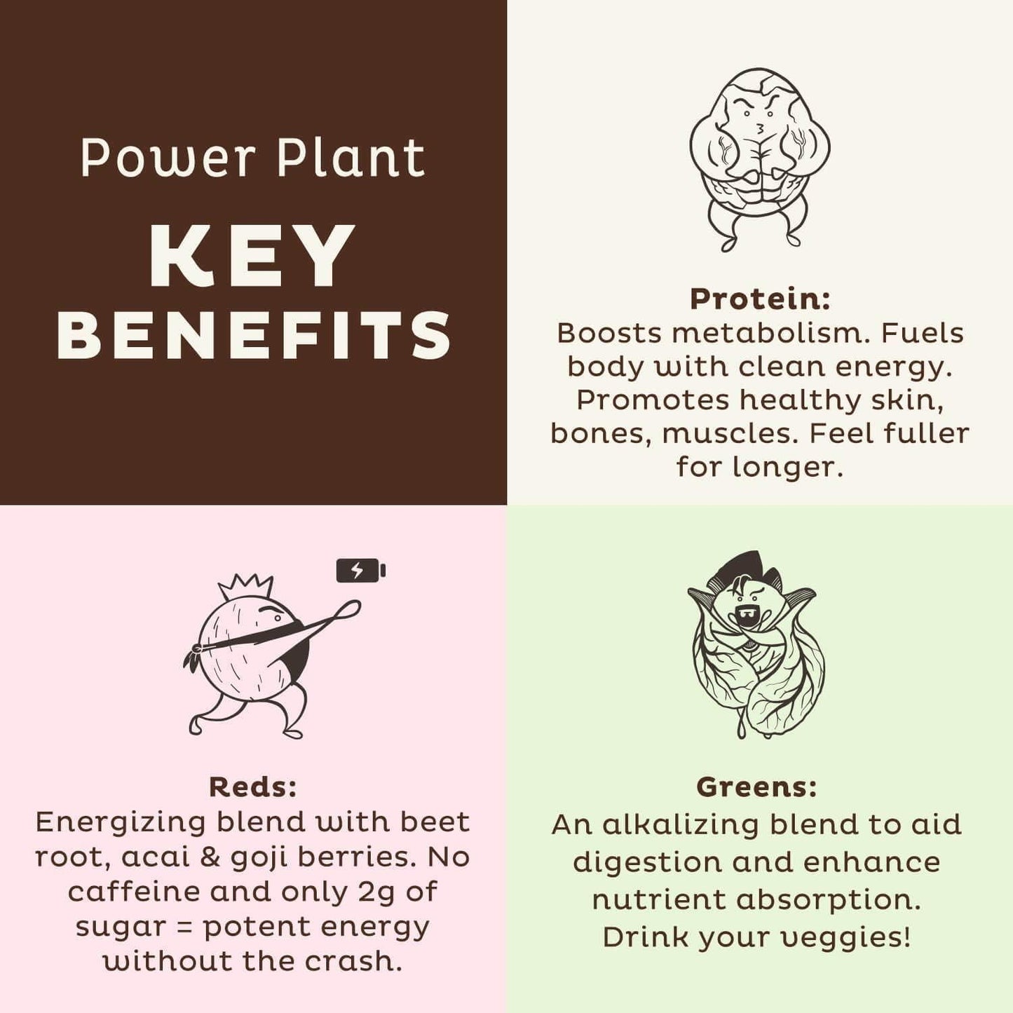 KOS PowerPlant Bundle (Organic Plant-Based Chocolate Protein Powder + Organic Reds Blend + Organic Greens Blend)