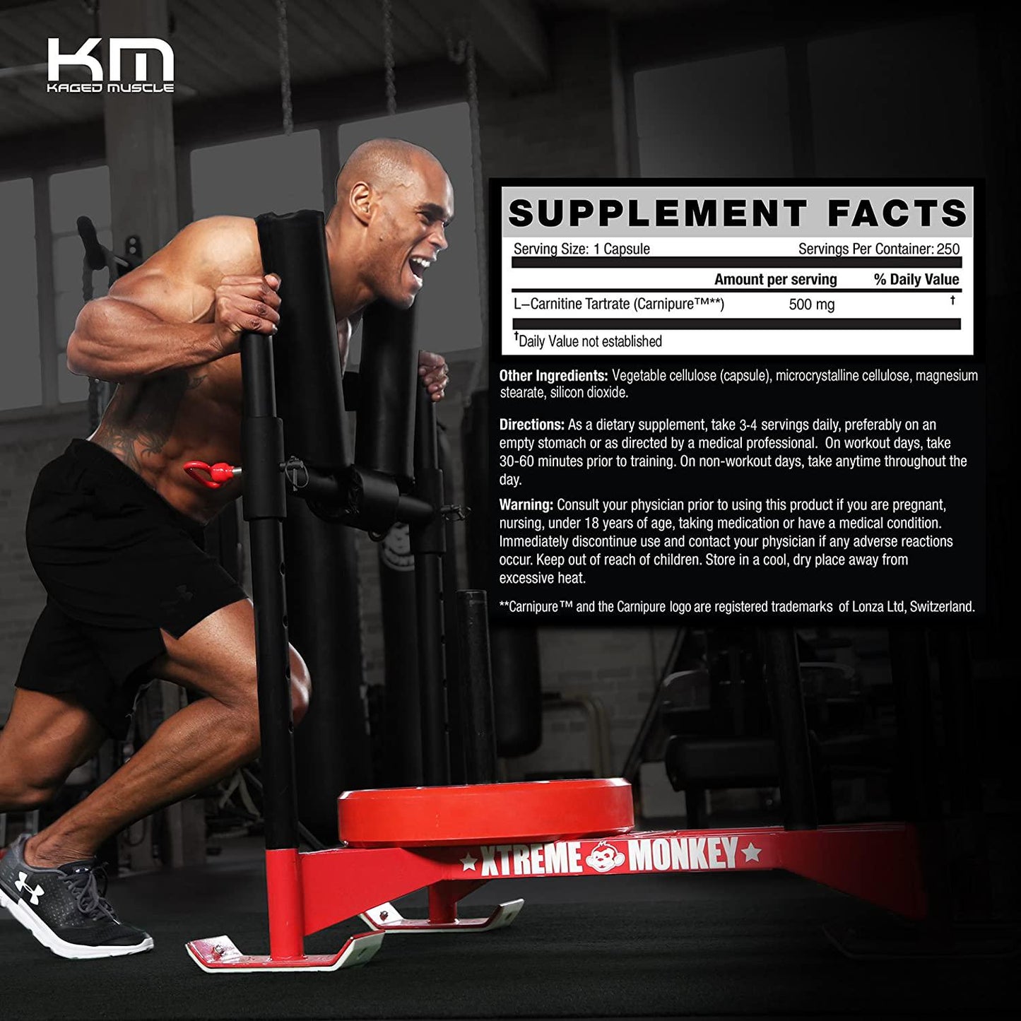 Kaged Muscle, Premium L-Carnitine 500 mg, Stimulant Free for Men and Women, Supports Recovery and reduction of post-workout markers of muscle stress and soreness, Carnitine, 250 Veggie Capsules