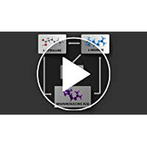 Kaged Muscle Premium L-Citrulline Powder, Enhance Muscle Pumps, Improve Muscle Vascularity, Nitric Oxide Booster, Citrulline, Unflavored, 100 Servings, white, 7.05 ounce (pack of 1) (KM-CITP-200)