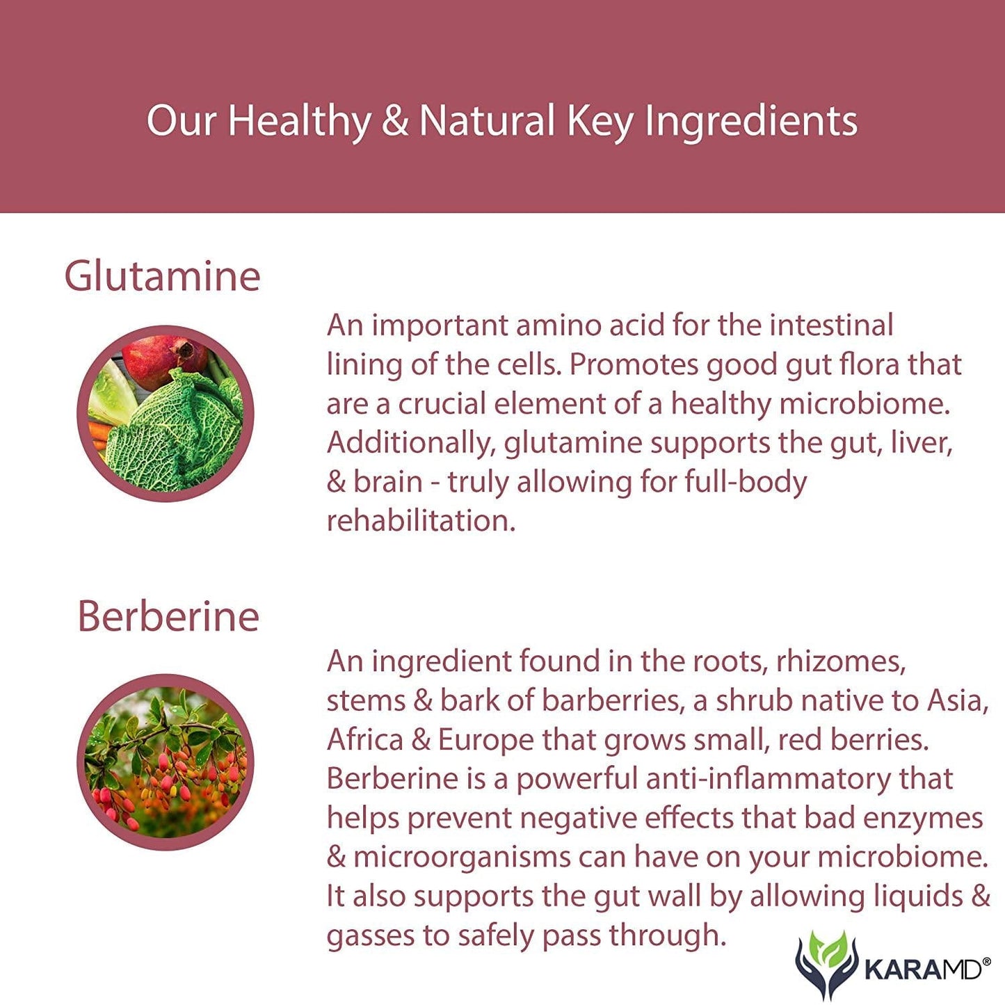 KaraMD Vital Restore | Doctor Formulated Leaky Gut Repair | Gastric and Intestinal Health | Total Restore of Probiotic Enzymes, Energy, Gut Lining | Natural Digestive Supplement, 90 Capsules