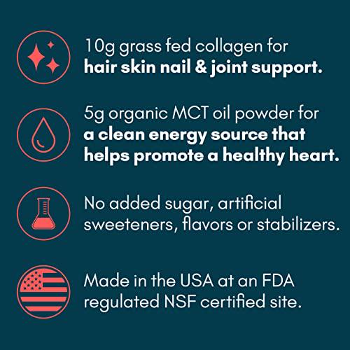 Keto Protein Cocoa Mix with Collagen Peptides Powder and Organic MCT Oil Powder Keto Friendly and Paleo Friendly Sugar Free Chocolate Protein Powder Non Dairy Protein Powder Protein Hot Chocolate