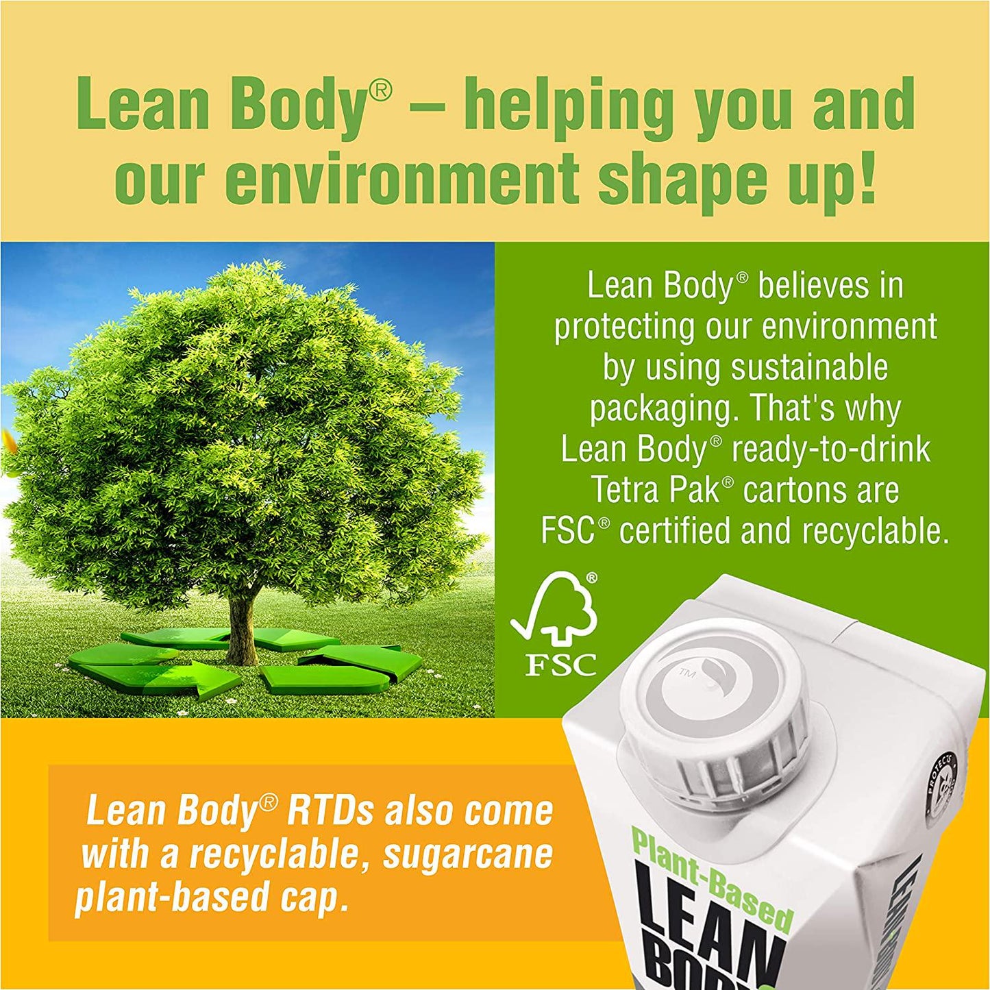 Lean Body Ready-to-Drink, Plant-Based Vegan Chocolate Protein Shake, 30g Protein, No Artificial Flavors, Sweeteners or Colors, Non GMO, Gluten Free, Premium Pea and Rice Blend (Pack of 12)