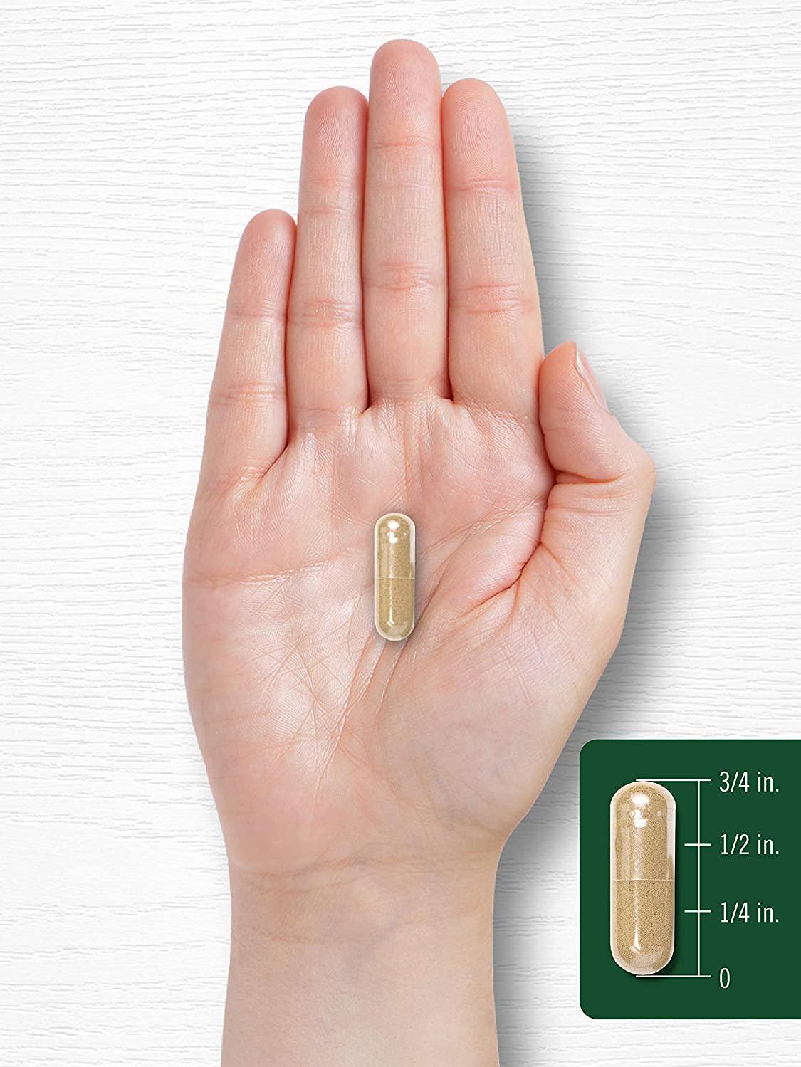 Lemon Balm | 1200mg | 200 Capsules | Non-GMO and Gluten Free Formula | Melissa Leaf Traditional Herbal Supplement | by Carlyle