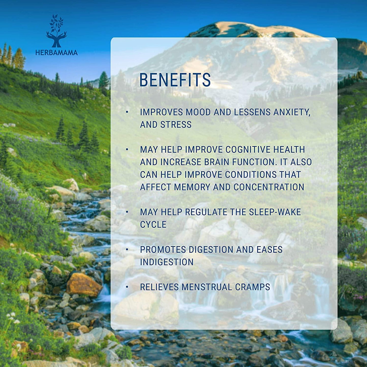 Lemon Balm Liquid Extract 4 fl oz | All-Natural Dietary Supplement | Anxiety and Stress Relief | Mood Booster | Sleep Aid | Non-GMO