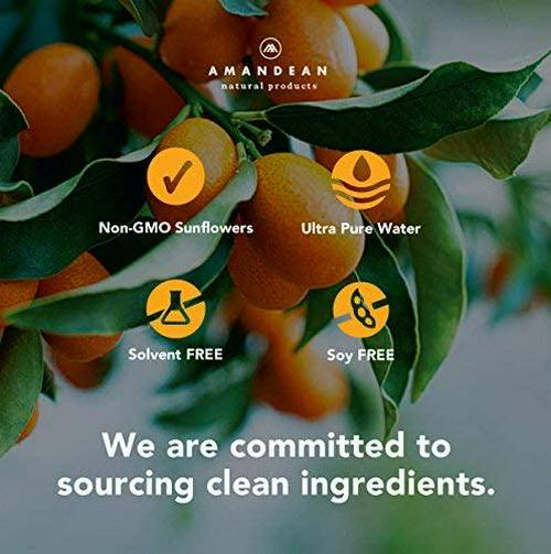 Liquid Liposomal Vitamin C 1000mg Supplement. Real Liposomes, not capsules. Antioxidant Delivery. Increased Bioavailability. Immune Support, Skin Health, Collagen Production. Soy-Free, Vegan, Non-GMO.