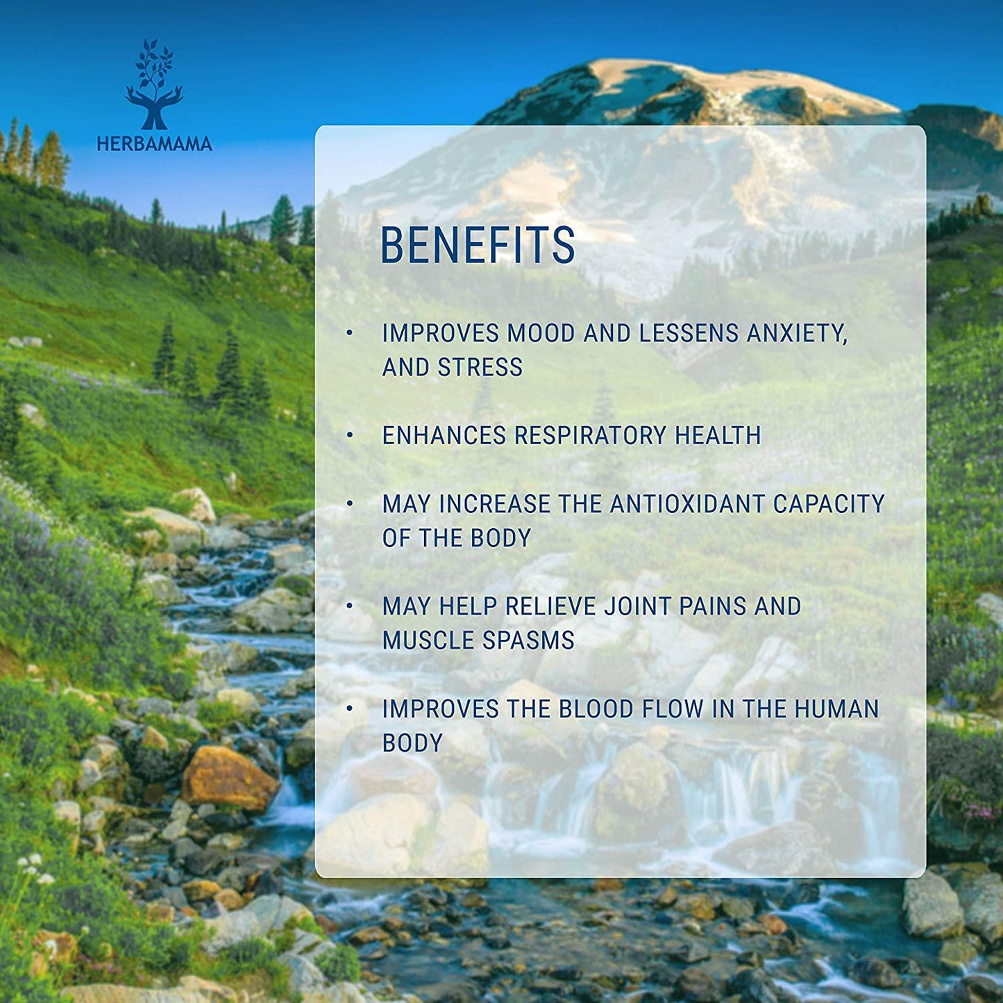 Lobelia Liquid Extract 4 fl oz | All-Natural Dietary Supplement | Respiratory Health | Mood Booster | Supports Muscle and Joint Health | Non-GMO