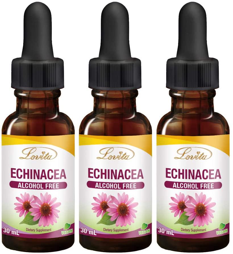 Lovita Echinacea Drops, Echinacea Extract 350mg per Serving, Kids Immune Defense Formula with Elderberry and Licorice Extract, Alcohol Free Echinacea Herb Liquid, 1 Fluid Ounce (Pack of 3)