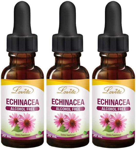Lovita Echinacea Drops, Echinacea Extract 350mg per Serving, Kids Immune Defense Formula with Elderberry and Licorice Extract, Alcohol Free Echinacea Herb Liquid, 1 Fluid Ounce (Pack of 3)