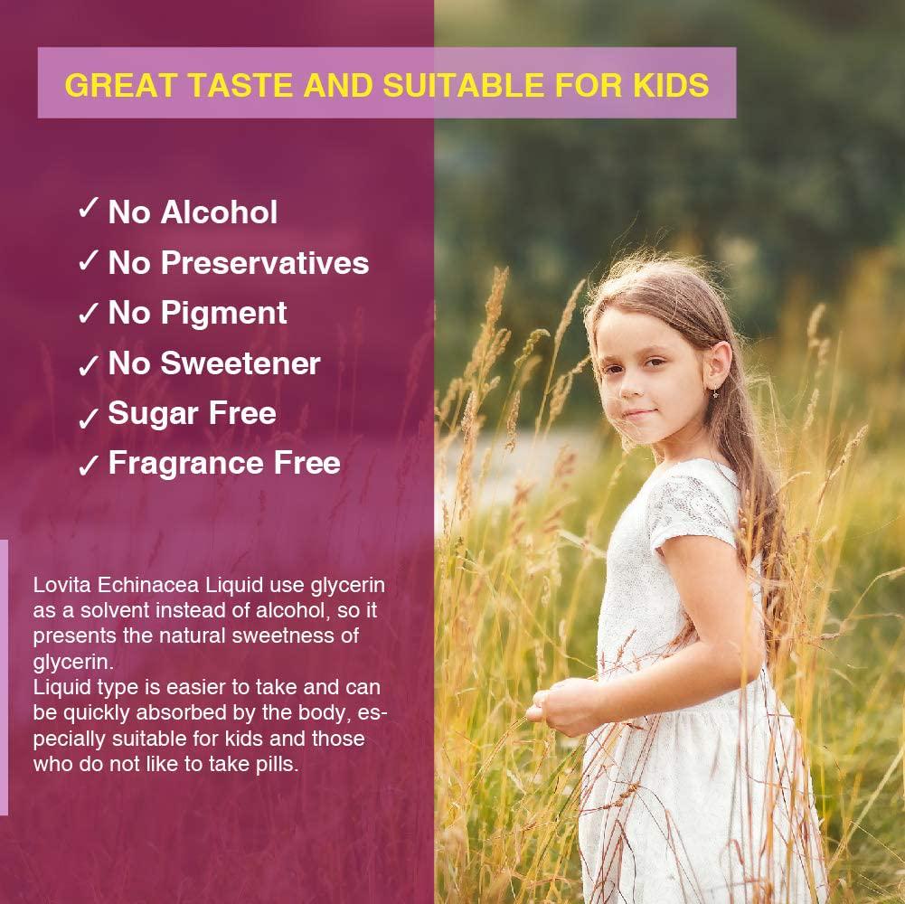 Lovita Echinacea Drops, Echinacea Extract 350mg per Serving, Kids Immune Defense Formula with Elderberry and Licorice Extract, Alcohol Free Echinacea Herb Liquid, 1 Fluid Ounce (Pack of 3)