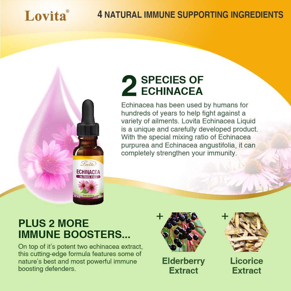 Lovita Echinacea Drops, Echinacea Extract 350mg per Serving, Kids Immune Defense Formula with Elderberry and Licorice Extract, Alcohol Free Echinacea Herb Liquid, 1 Fluid Ounce (Pack of 3)