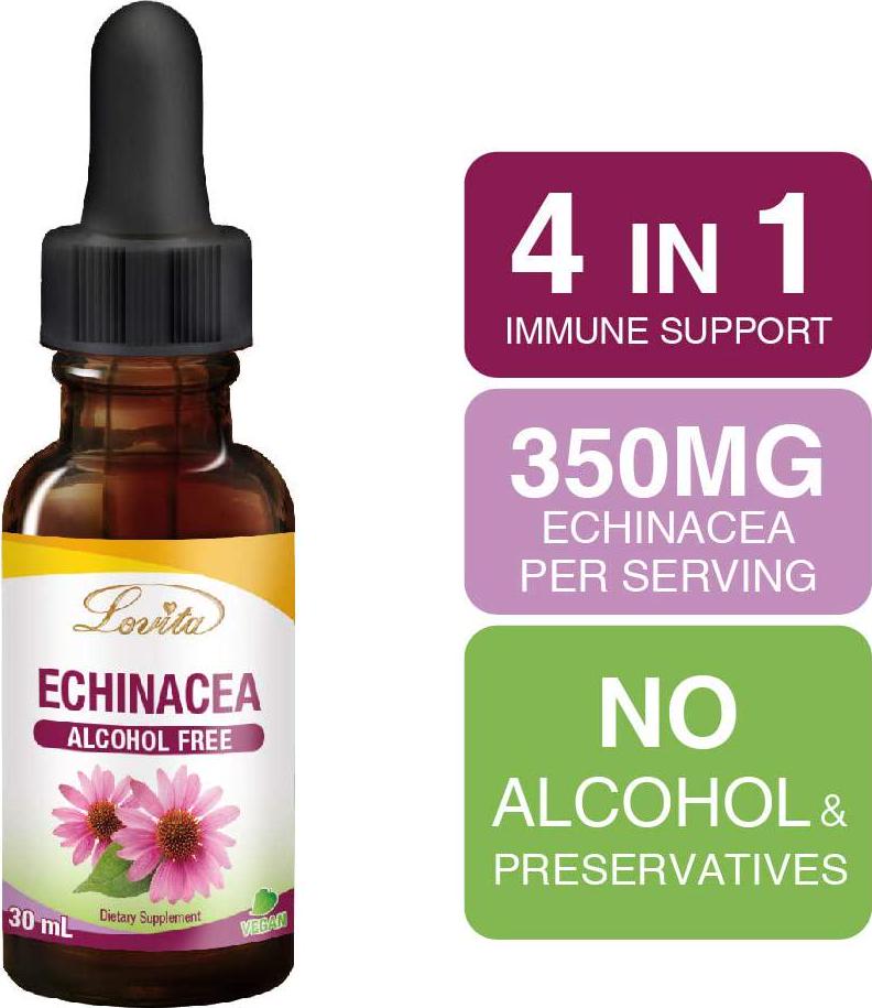 Lovita Echinacea Drops, Echinacea Extract 350mg per Serving, Kids Immune Defense Formula with Elderberry and Licorice Extract, Alcohol Free Echinacea Herb Liquid, 1 Fluid Ounce (Pack of 3)