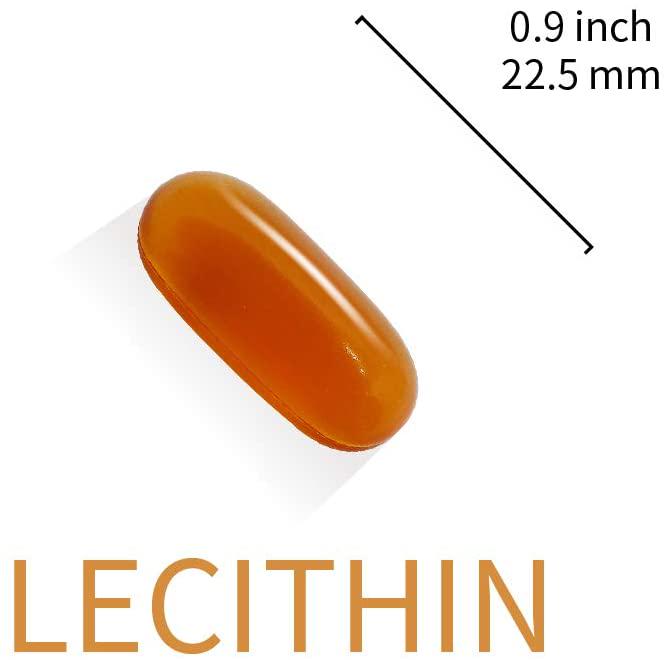 Lovita Lecithin 2000mg per Day, Rich in Phosphatidyl Choline (PC), Phosphatidylcholine 350mg per Softgel, Vegan Friendly, 60 Vegetarian Softgels