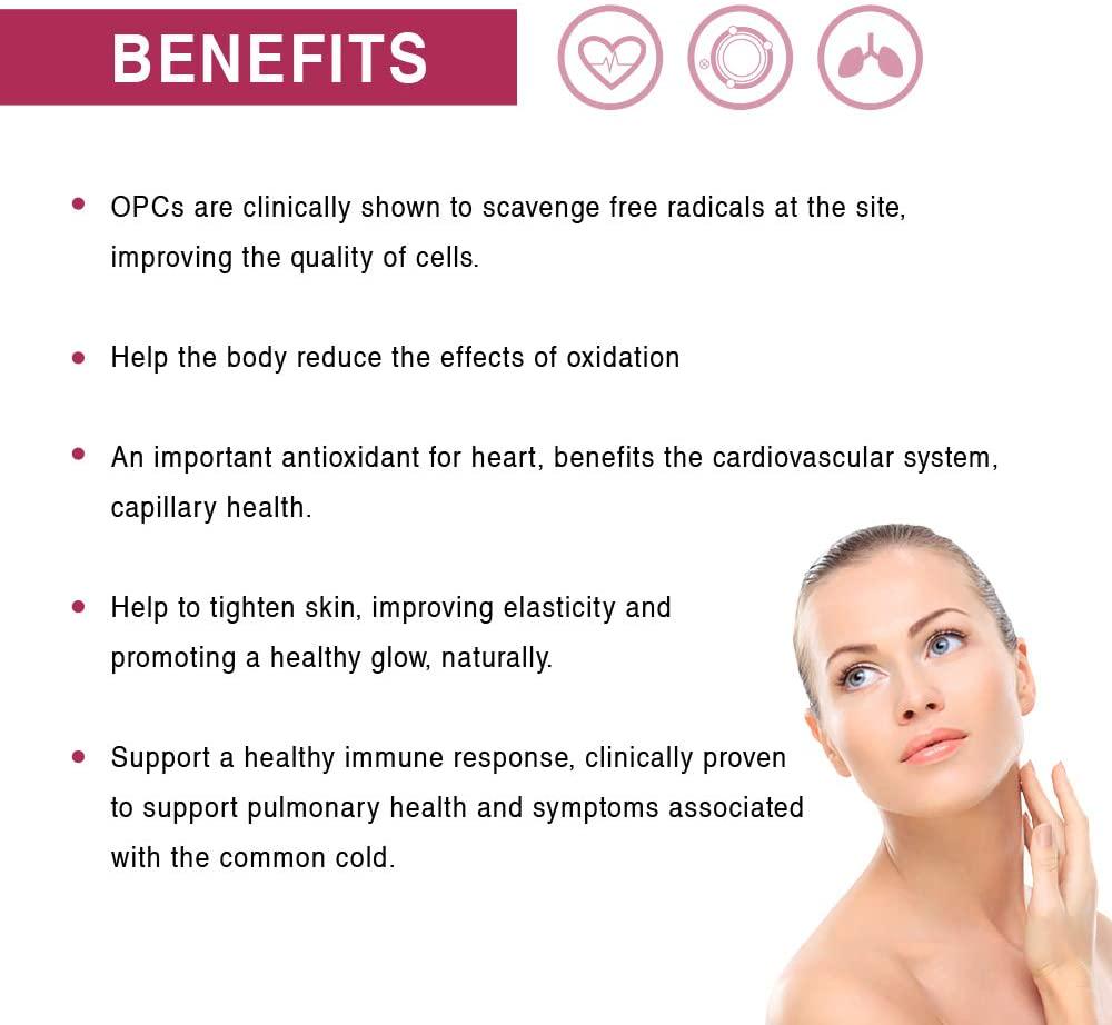 Lovita Pine Bark Extract, 150mg, 95% OPCs, 60 Vegetarian Capsules (Pack of 3)