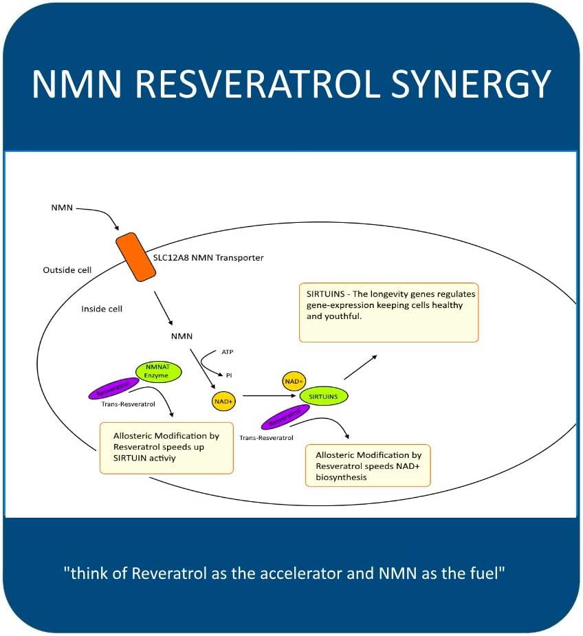 MAAC10 NMN and Resveratrol NAD Booster Combo Pack - Nicotinamide Mononucleotide NAD+ Supplement 250mg (60 x 125mg Capsules 2 Bottles) 99% Pure Trans Resveratrol Extract (60 x 250mg Capsules 1 Bottle).