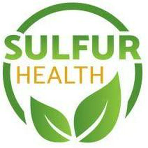 MSM Organic Sulfur - 99.9% Pure MSM Supplement - Lab-Tested and Certified **Same Day Priority Shipping** (1 Pound)