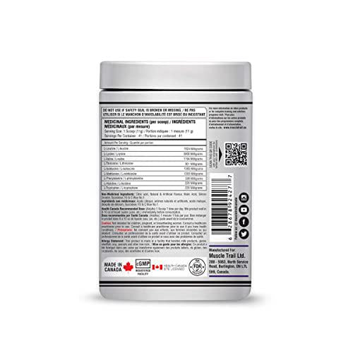 MUSCLETRAIL EAA Prime Series 9.2g Essential Amino, 0g Sugar, Muscle Recovery Supplements and Helps Build Muscle, Protein Synthesis (451g, 41 Servings) (Blue Raspberry)