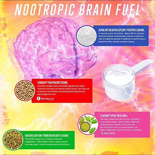 Man Sports Brainbridge Powder - Nootropic Brain and Energy Supplement for Improved Focus and Productivity - Peach Ring - 124.8g (20 Days Supply)