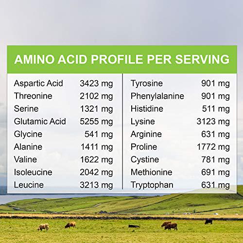 MariGold Grass-fed Whey Isolate Protein Powder Unflavored 2LB - 100% Pure, Cold Processed, Micro Filtered, Undenatured, Non-GMO, rBGH Free, Soy Free, Gluten Free, Lactose Free, Easy to Mix