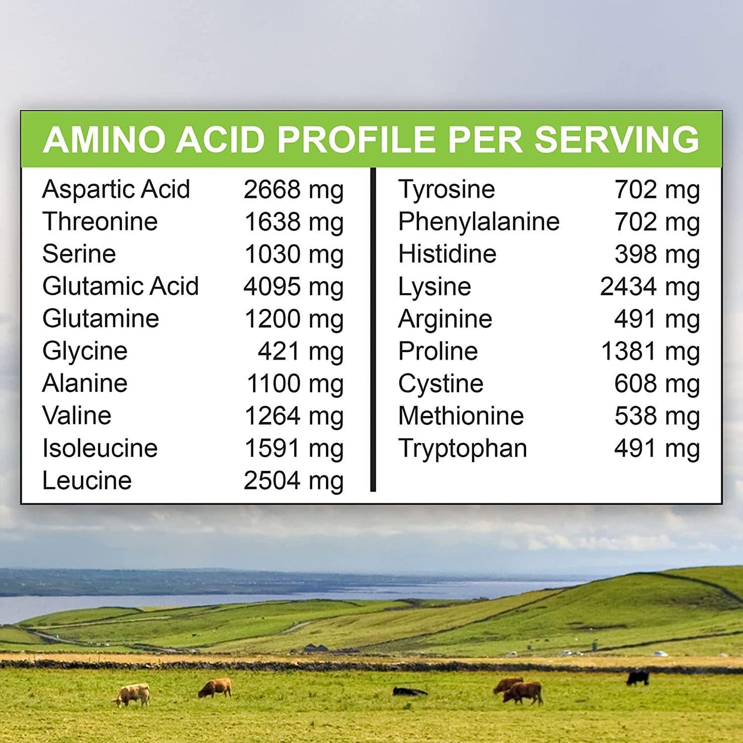 Marigold Grass-fed Whey Isolate Protein Powder - Rich Chocolate Malt Flavor - 1 Lb | 100% Pure, Cold-Processed, Micro-Filtered, Undenatured, Non-GMO, rBGH Free, Soy Free, Gluten Free, Lactose Free