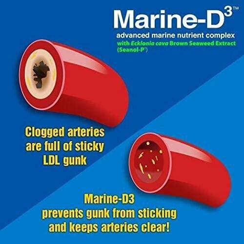 Marine Essentials Vitamin D3 Omega 3 Fish Oil - Marine-D3 340 mg Vitamin D3 DHA Anti Aging Omega 3 Fish Oil Dietary Supplement (120 Softgels)