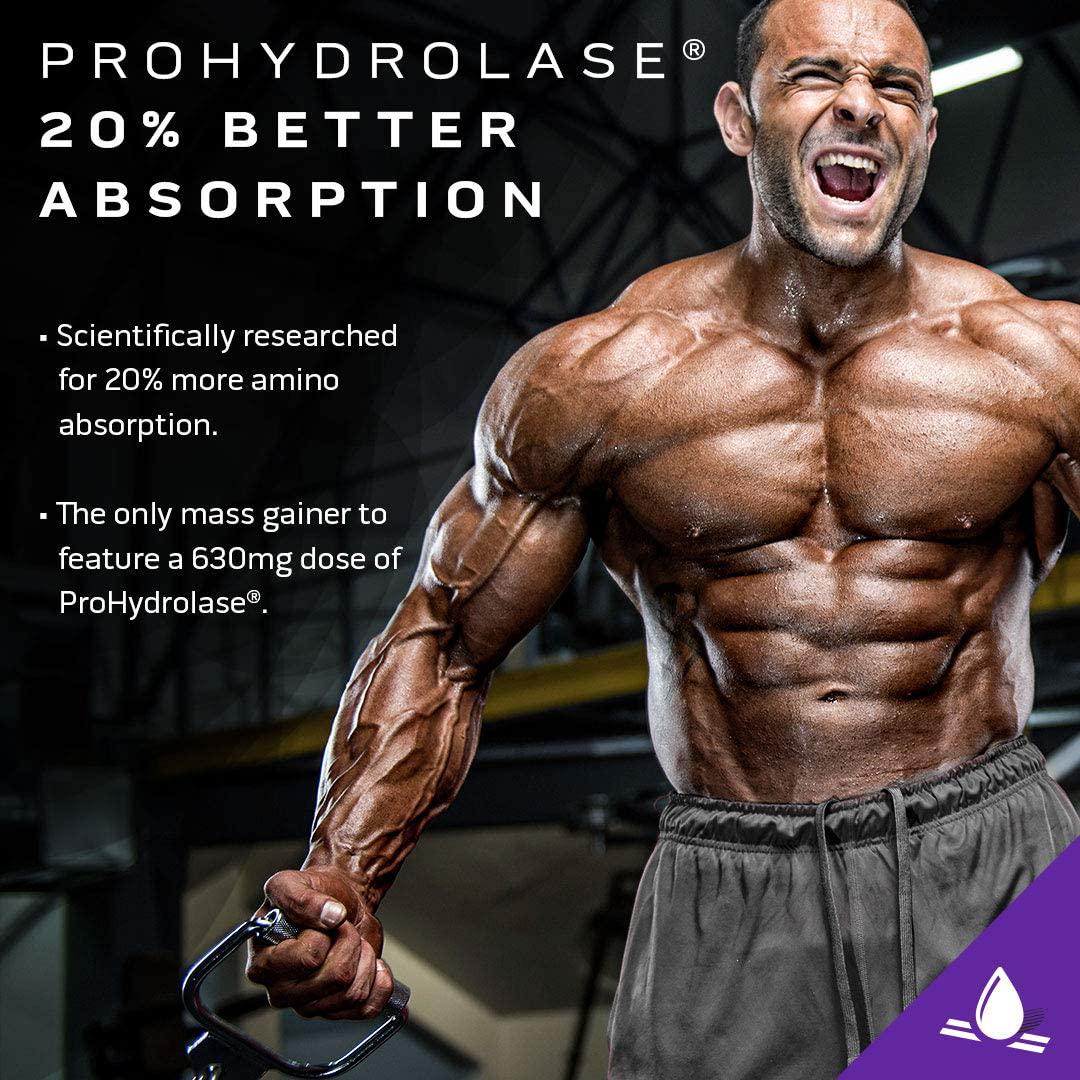 Mass Gainer Protein Powder | MuscleTech Mass-Tech Elite Mass Gainer | Whey Protein Powder + Muscle Builder | Weight Gainer | Protein Powder for Muscle Gain | Creatine Supplements | Vanilla Cake, 7 lbs