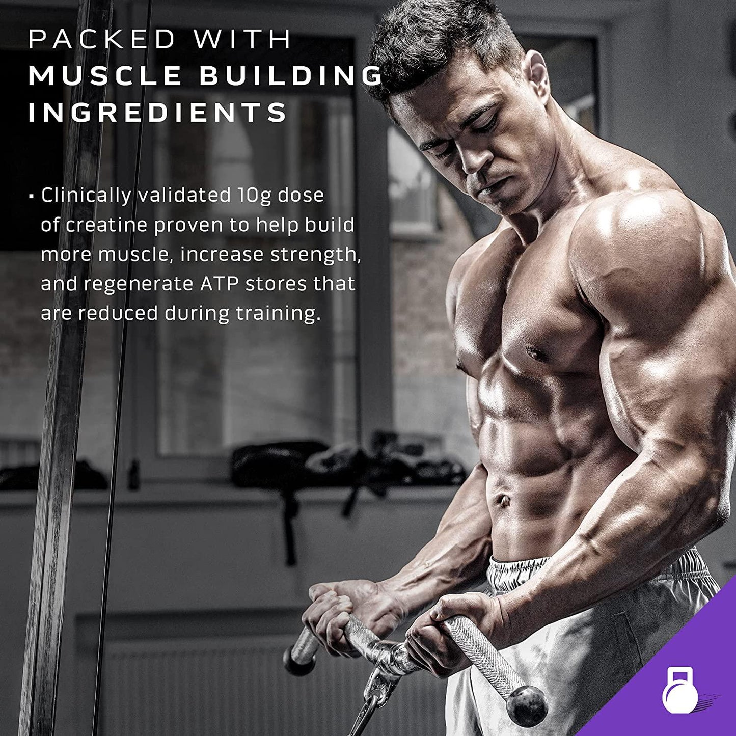 Mass Gainer Protein Powder, MuscleTech Mass-Tech Extreme 2000 Mass Gainer, Max Protein Weight Gainer, Muscle Gainer Protein Powder for Men and Women, Creatine Supplements, Vanilla Milkshake, 10 kg