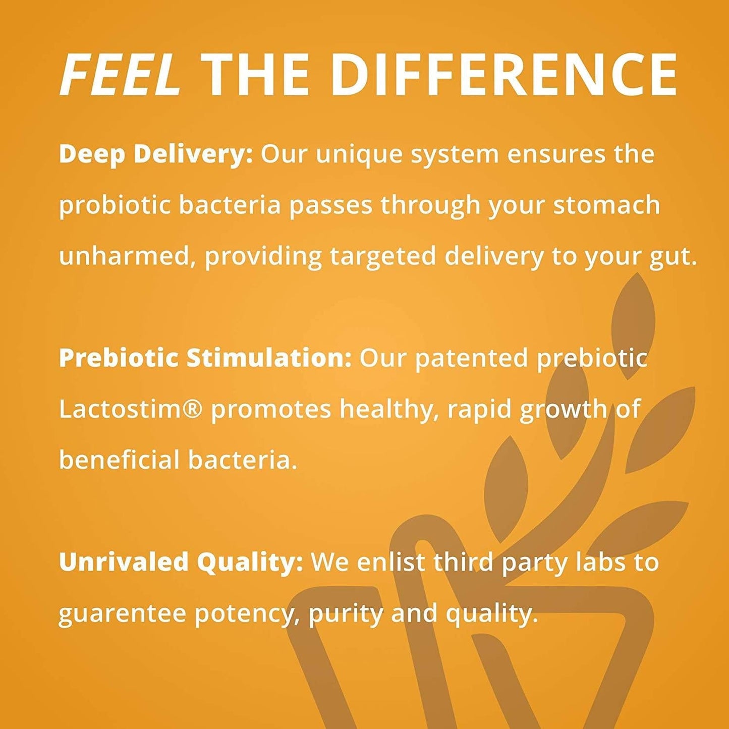 Master Supplements TruBifido - 30 Vegan Capsules - Powerful Probiotic for Colon Health, Energy and Immune Booster, Supports Regularity - Gluten Free - 30 Servings