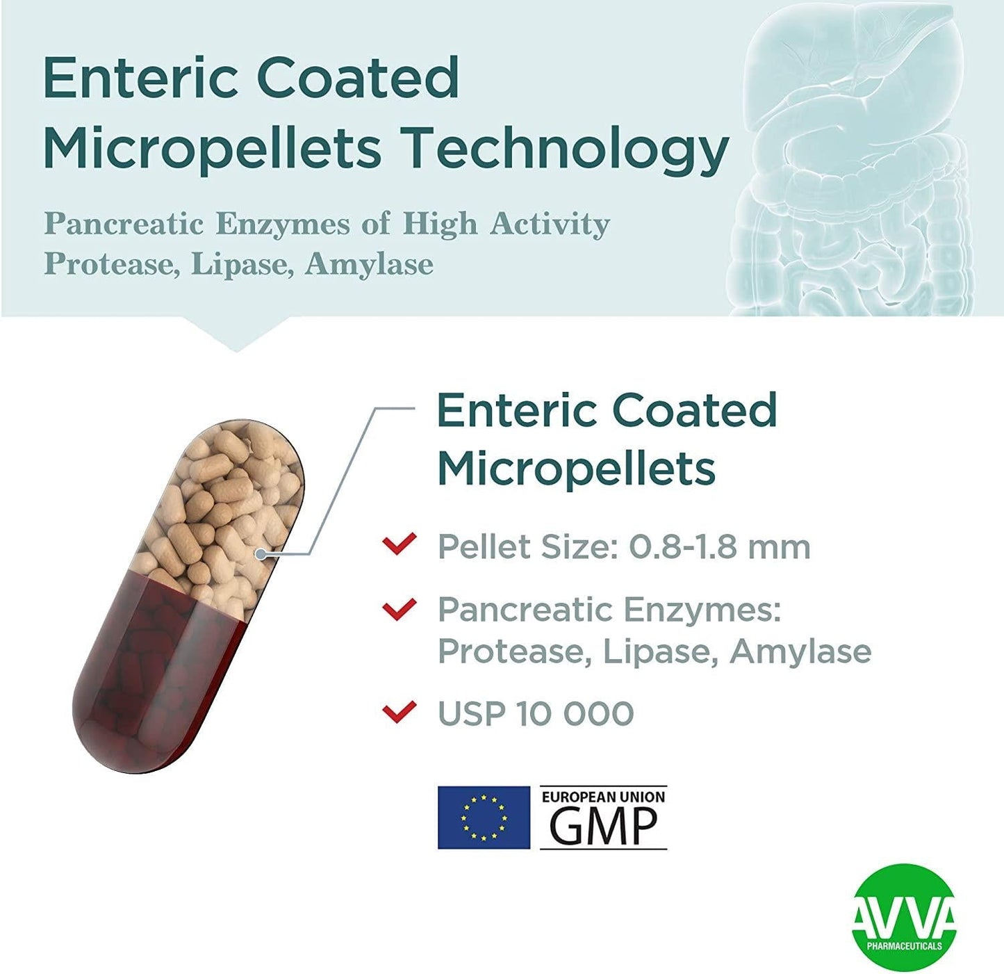 Micrazym Pancreatic Enzymes : 10,000 USP for Healthy Digestion. High Concentration Enteric Coated Digestive Enzymes - Pancreatin (Amylase, Lipase, Protease) - 50 Capsules
