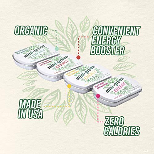 Mini-Green Energy Natural, Organic Energy Boost Pouches, 4-Flavor Sample Pack, 4-Pack