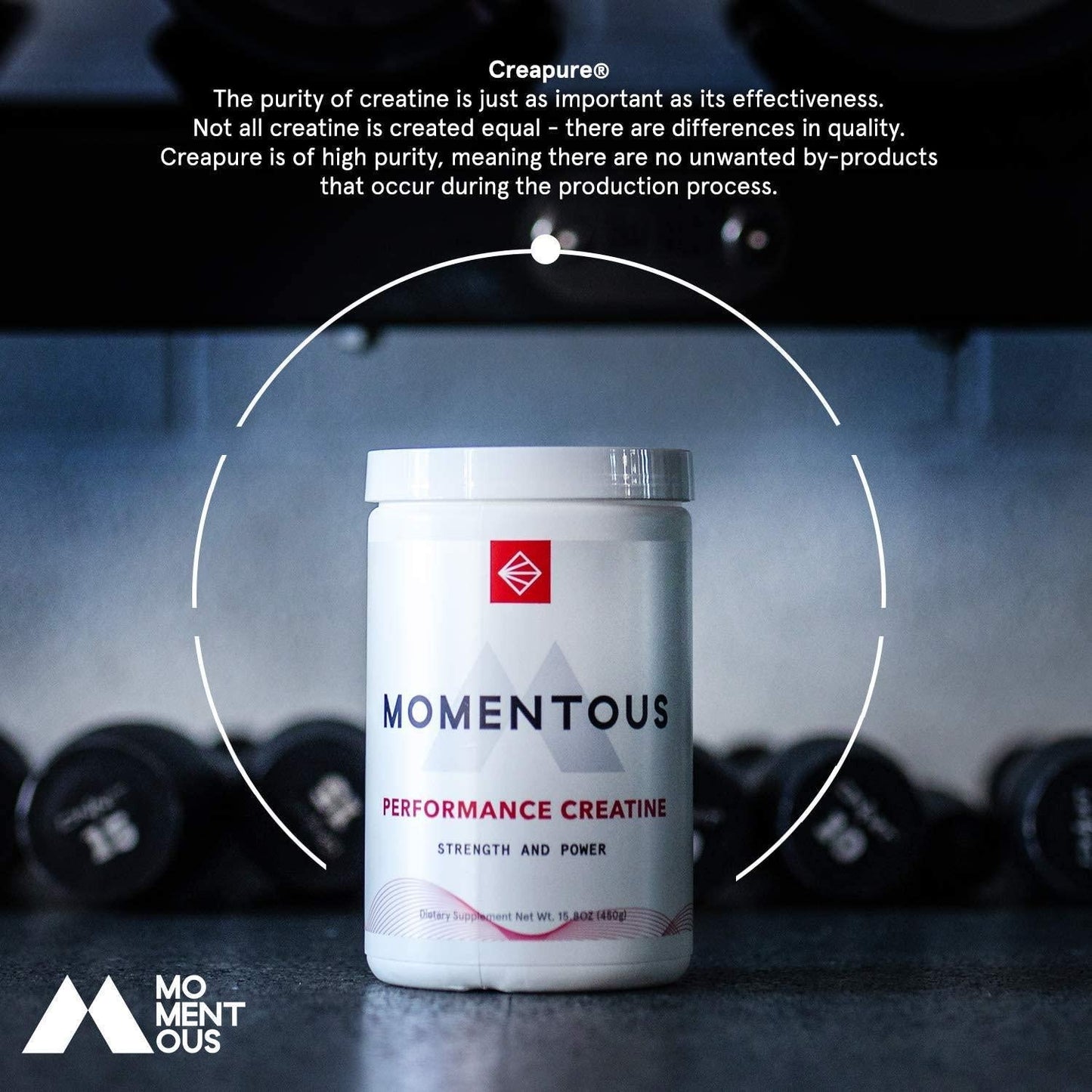 Momentous Creatine, Creapure Performance Creatine Monohydrate Powder (5 Grams Per Serving)