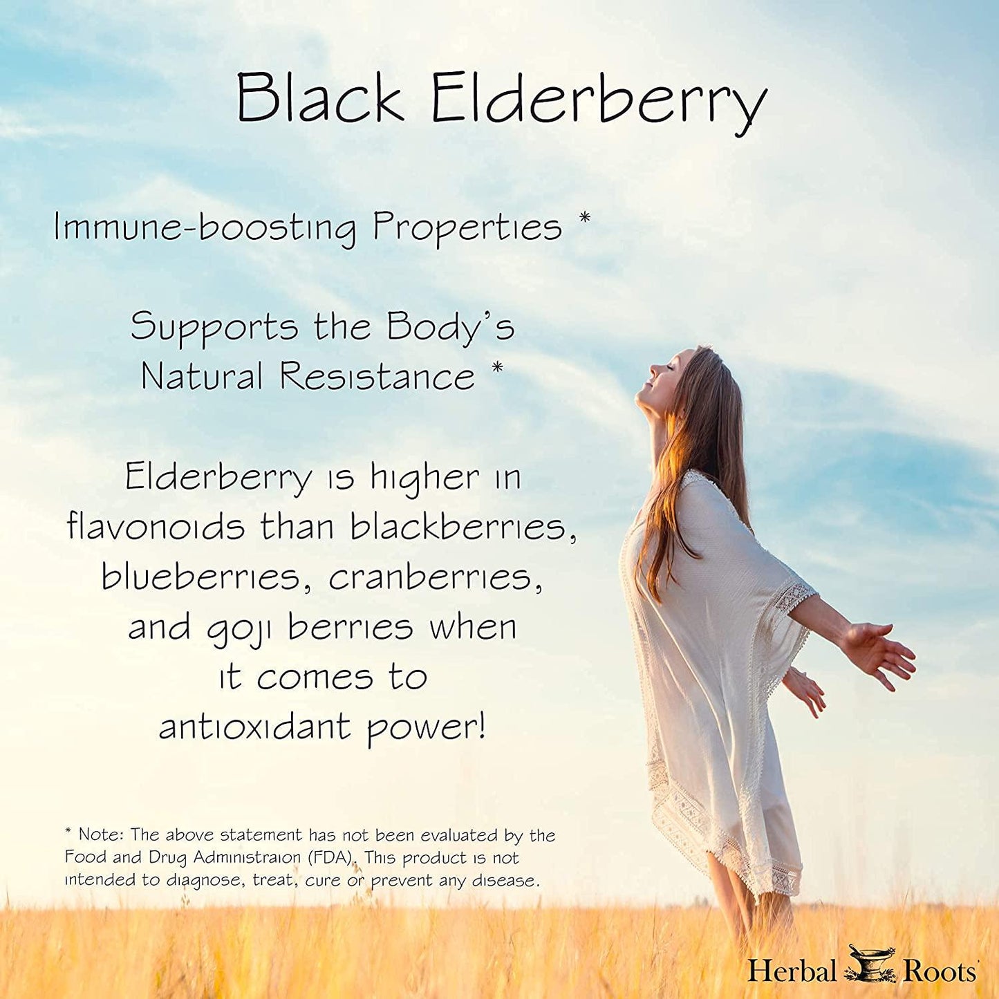Mortar and Pestle Herbs- Black Elderberry Capsules - Extra Strength 4,300 mg - Made with Organic Elderberries Sambucus Negras - Immune Support - Vegan and Non-GMO - Made in the USA
