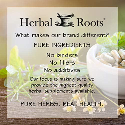 Mortar and Pestle Herbs- Black Elderberry Capsules - Extra Strength 4,300 mg - Made with Organic Elderberries Sambucus Negras - Immune Support - Vegan and Non-GMO - Made in the USA