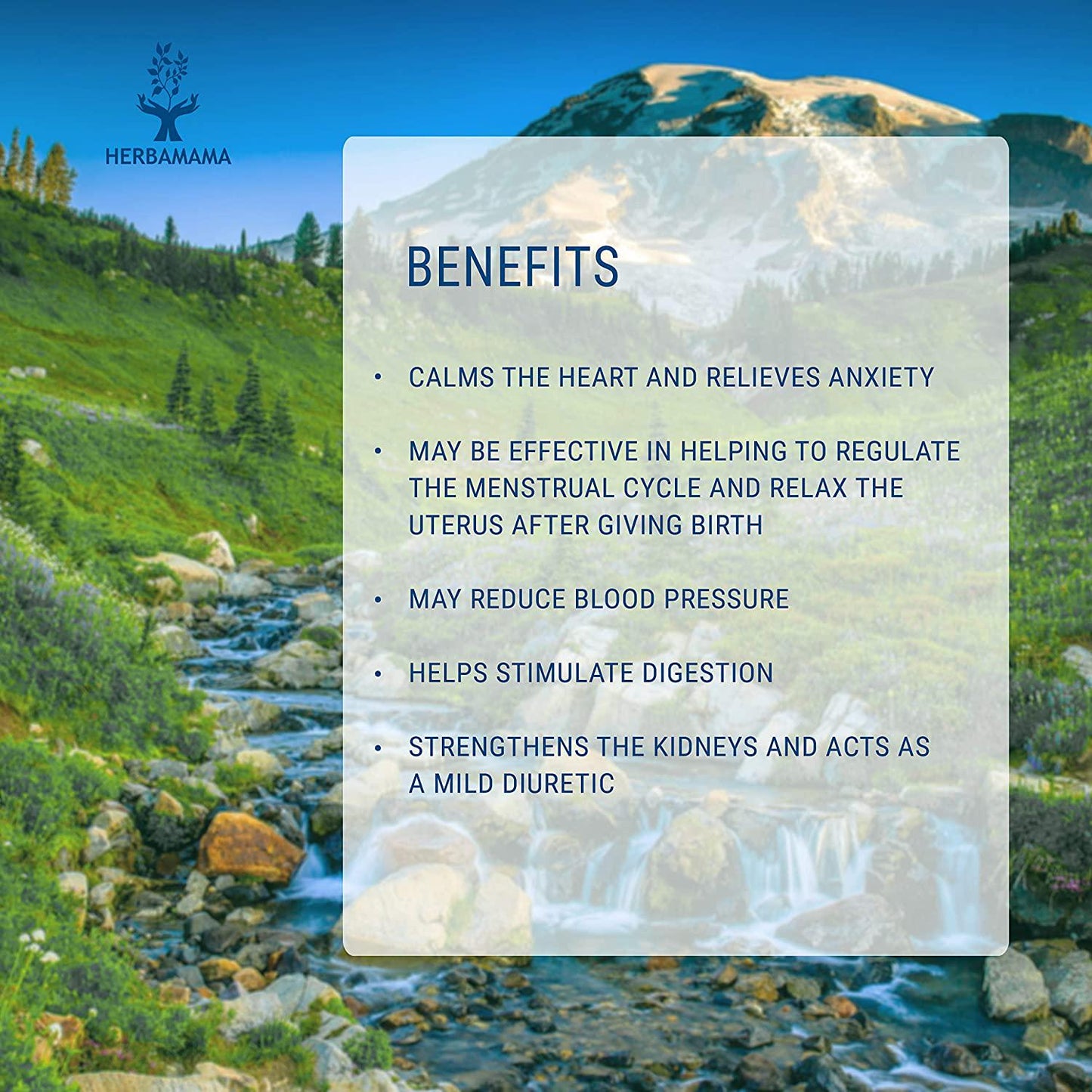 Motherwort Liquid Extract 4 fl oz | All-Natural Dietary Supplement | Supports Heart Health | Blood Pressure Support | Anxiety and Stress Relief | Women's Health Supplement | Kidney Support | Non-GMO