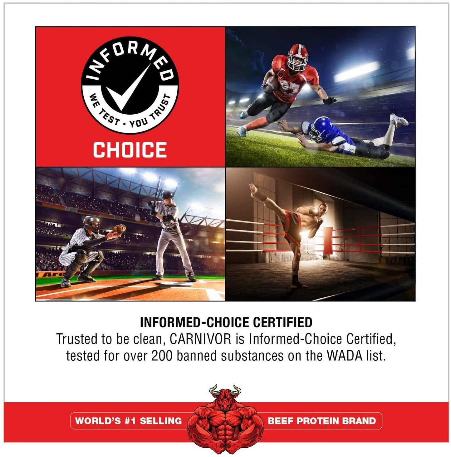 MuscleMeds Carnivor Beef Protein Isolate Powder, Chocolate, 56 Servings