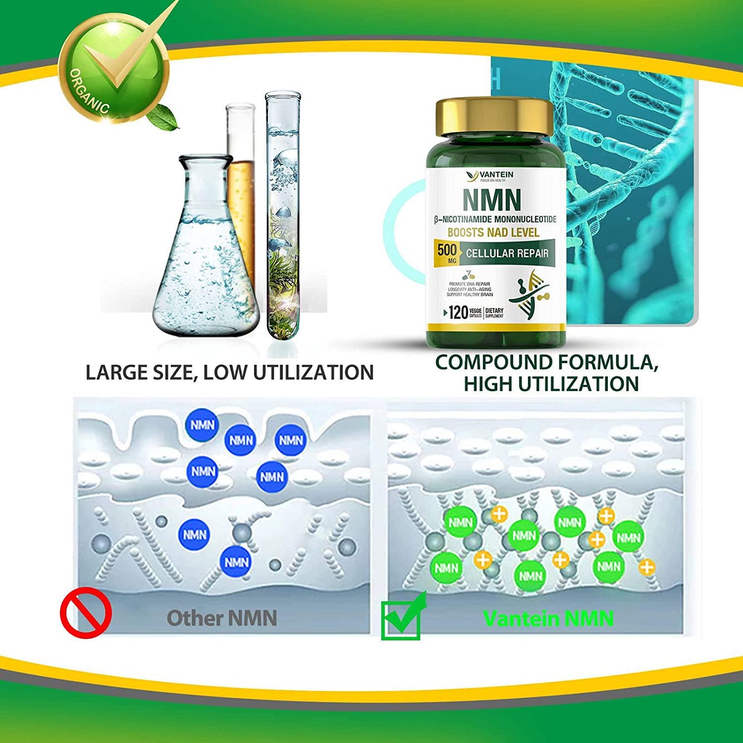 NMN Supplement, 500MG (120 Capsules) NMN Nicotinamide Mononucleotide Powder for Supports Anti-Aging, Longevity and Energy, Enhance Concentration, Naturally Boost NAD+ Levels