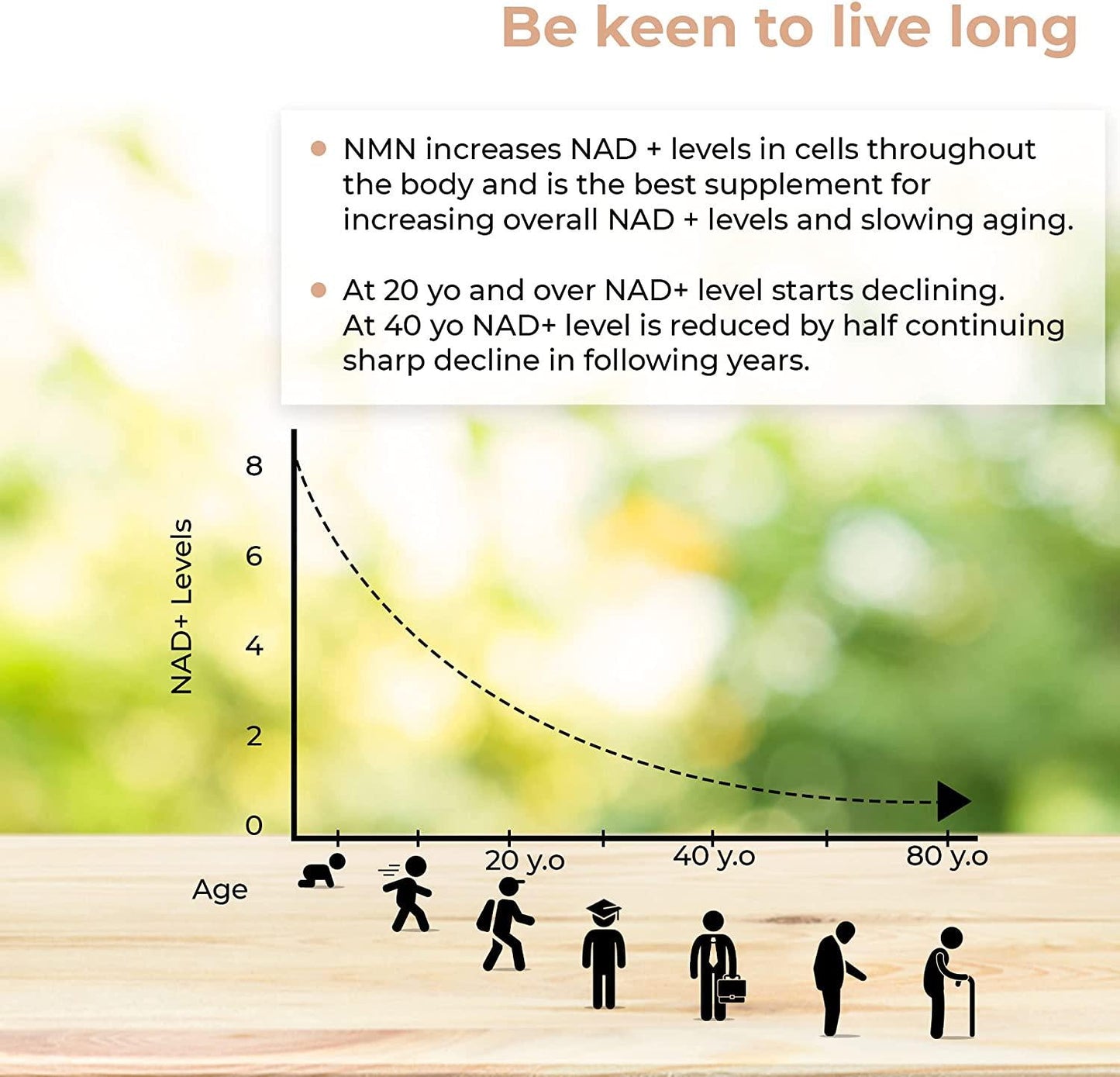 NMN Supplement with Magnesium Malate and Creatine, Nicotinamide 500mg, Potent Anti Aging and Skin Care, Brain Booster Supplements, NAD Cell Regenerator for DNA Repair,Longevity and Energy, 60 Capsule