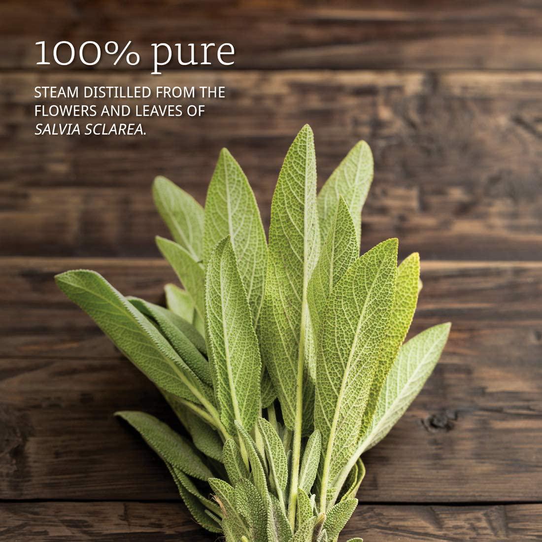 NOW Essential Oils, Clary Sage Oil, Focusing Aromatherapy Scent, Steam Distilled, 100% Pure, Vegan, Child Resistant Cap, 1-Ounce