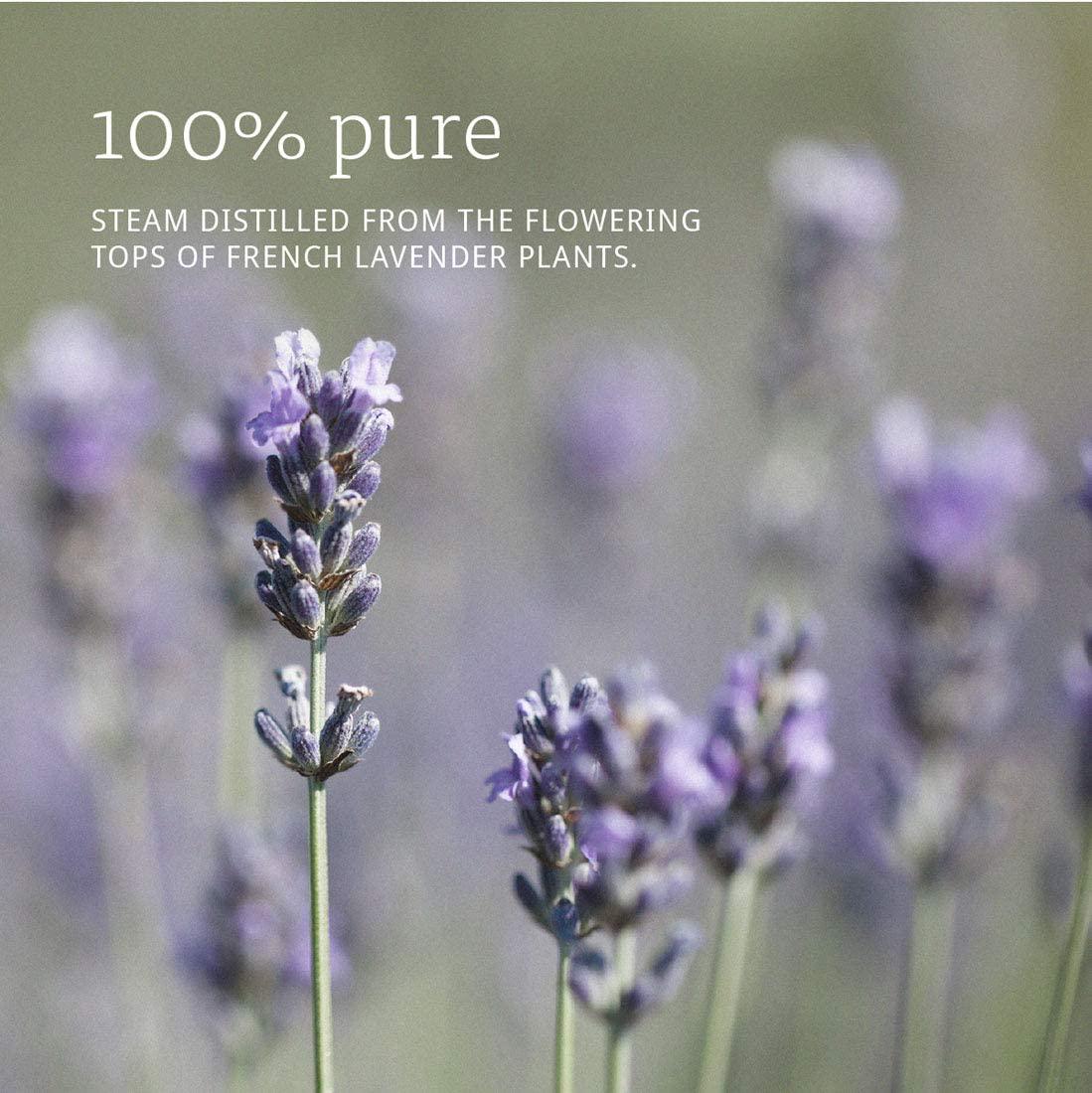 NOW Essential Oils, Lavender Oil, Soothing Aromatherapy Scent, Steam Distilled, 100% Pure, Vegan, Child Resistant Cap, 1-Ounce