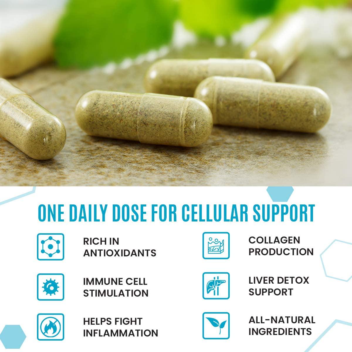 NativePath: Native Defense - All-Natural Collagen Production and Immune Support with Elderberry, Vitamin C, Vitamin D, Zinc, Quercetin and Siberian Ginseng - 30-Day Supply - Rich in Antioxidants