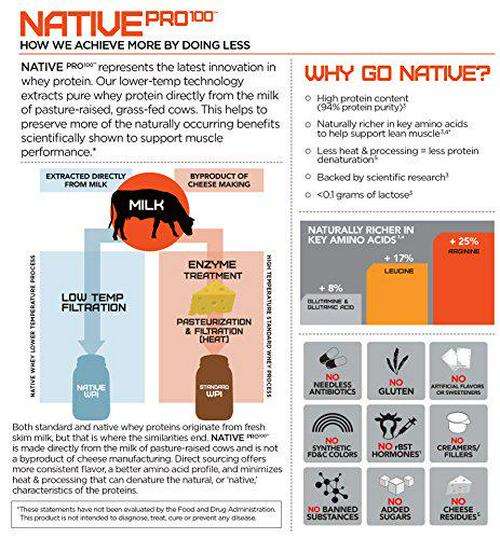 Native Pro 100 Chocolate, 45 Ounce